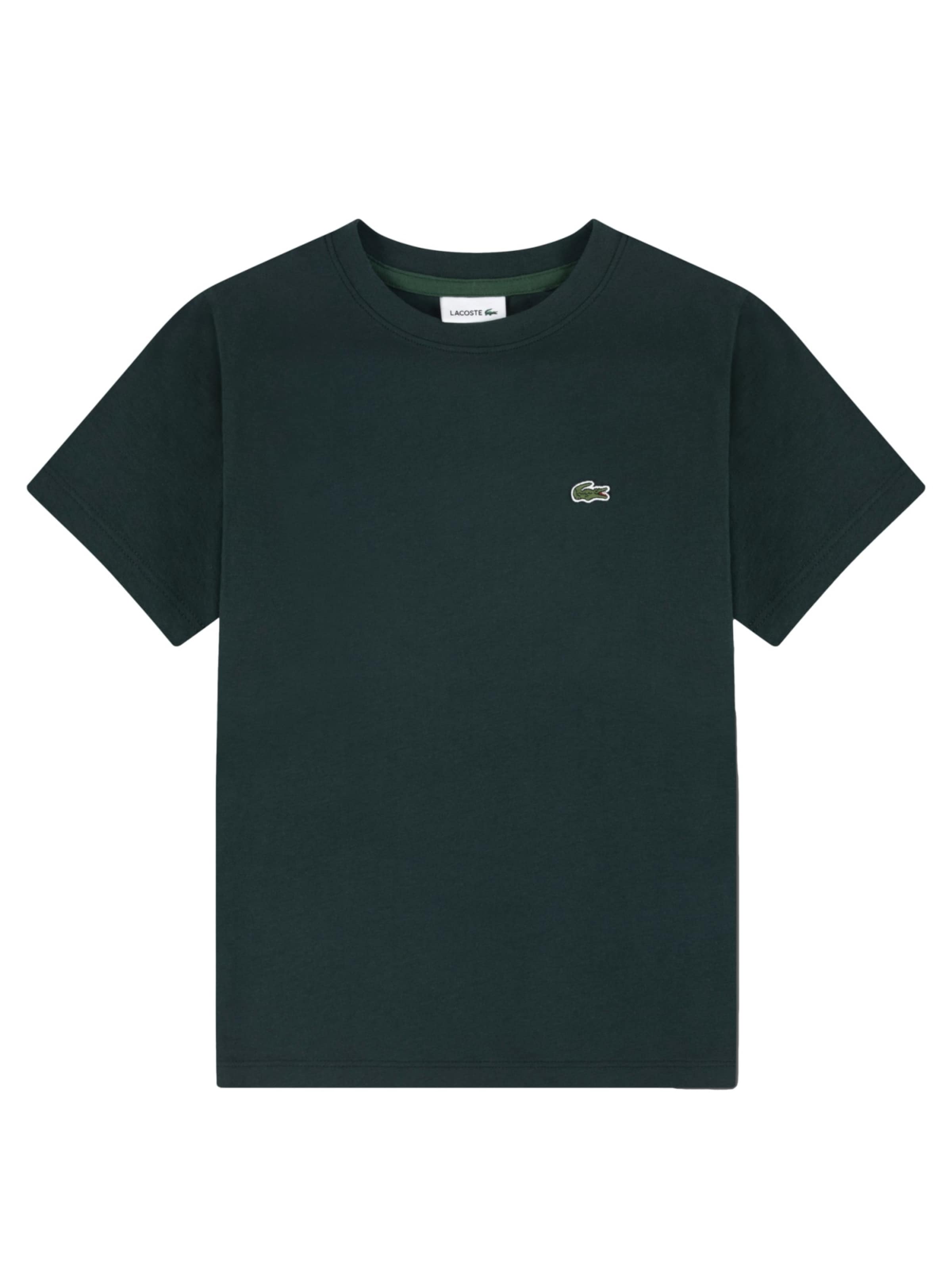LACOSTE Shirts i grøn: forside