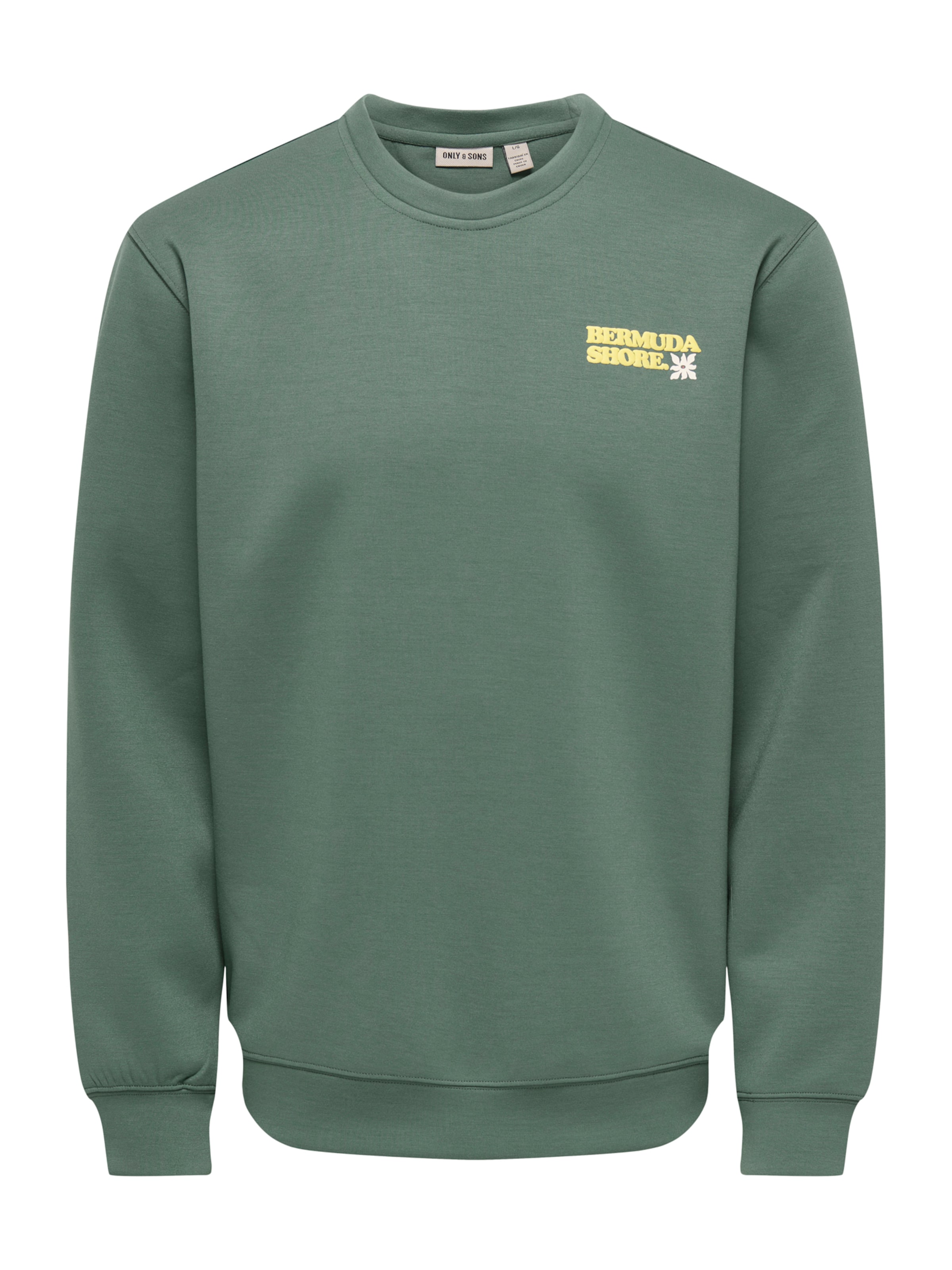 Only & Sons Sweatshirt 'ONSLUCCA ALOHA' in Green: front