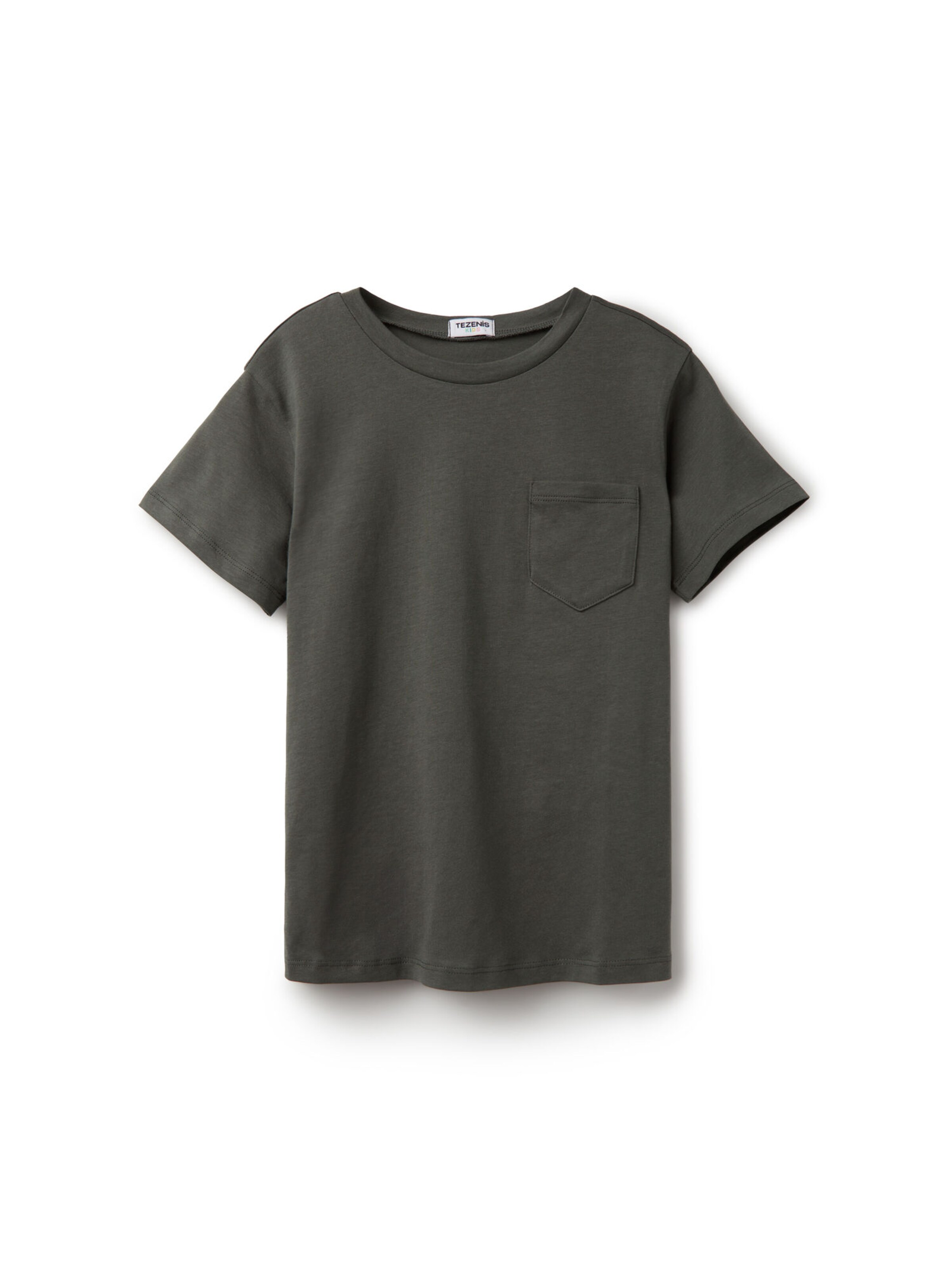 Tezenis Shirt in Green: front