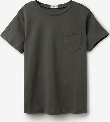 Tezenis Shirt in Green: front