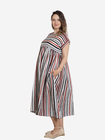 Nikka Place Kleid 'Lotus' in Mischfarben