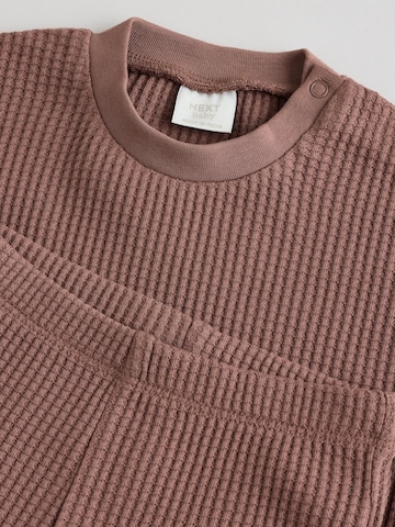 Next Set in Brown