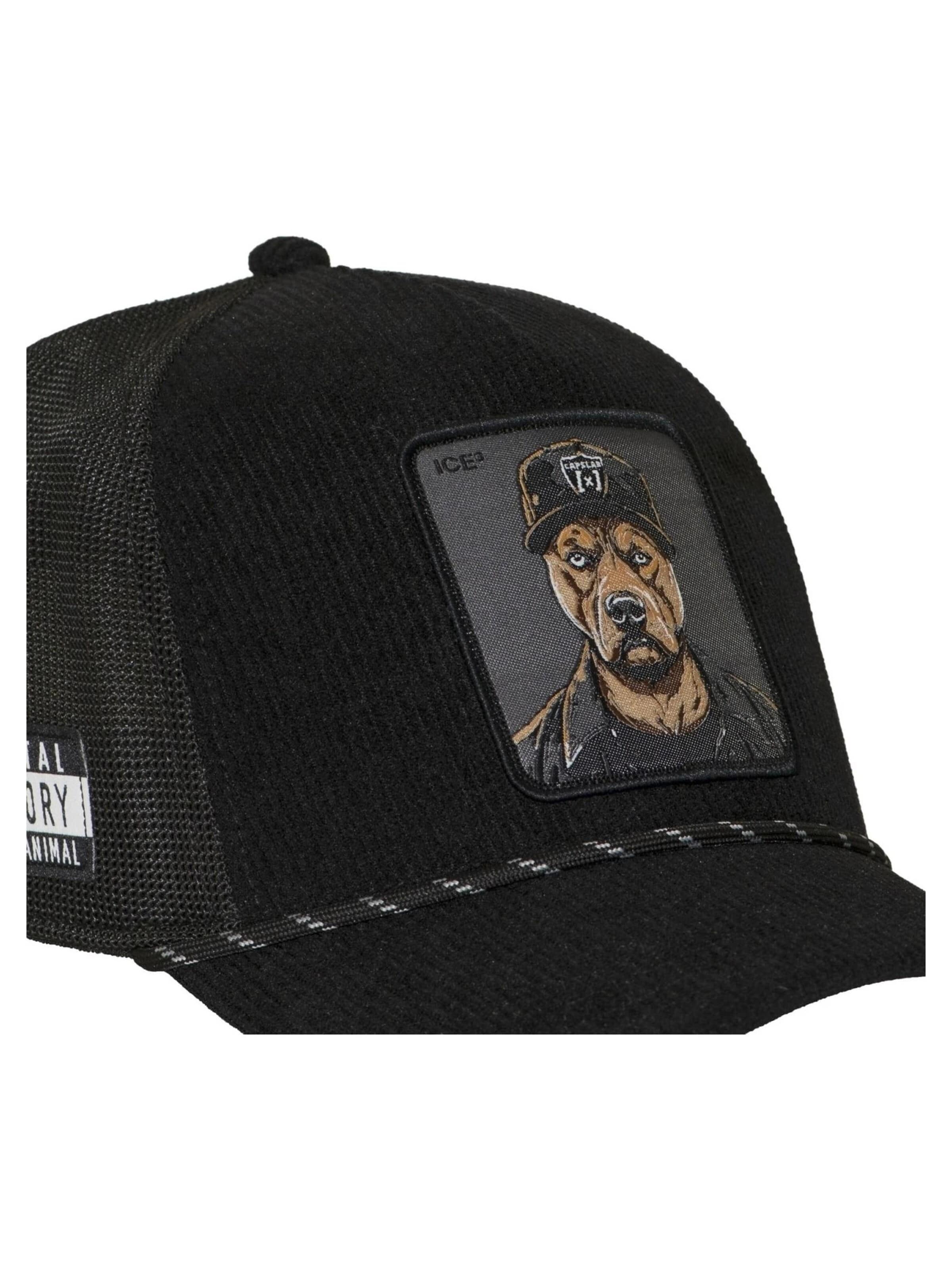 Capslab - Gorra 'Gorra capslab negra pana ice cube bad trucker cap' en negro