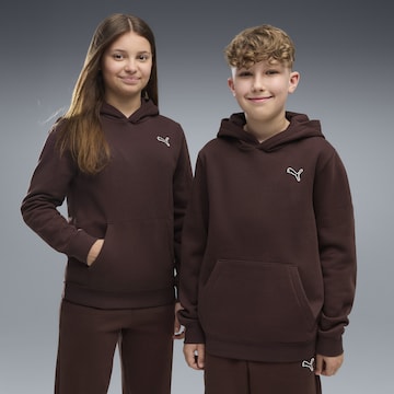 PUMA Sweatshirt 'Essentials Elevated' in Brown: front
