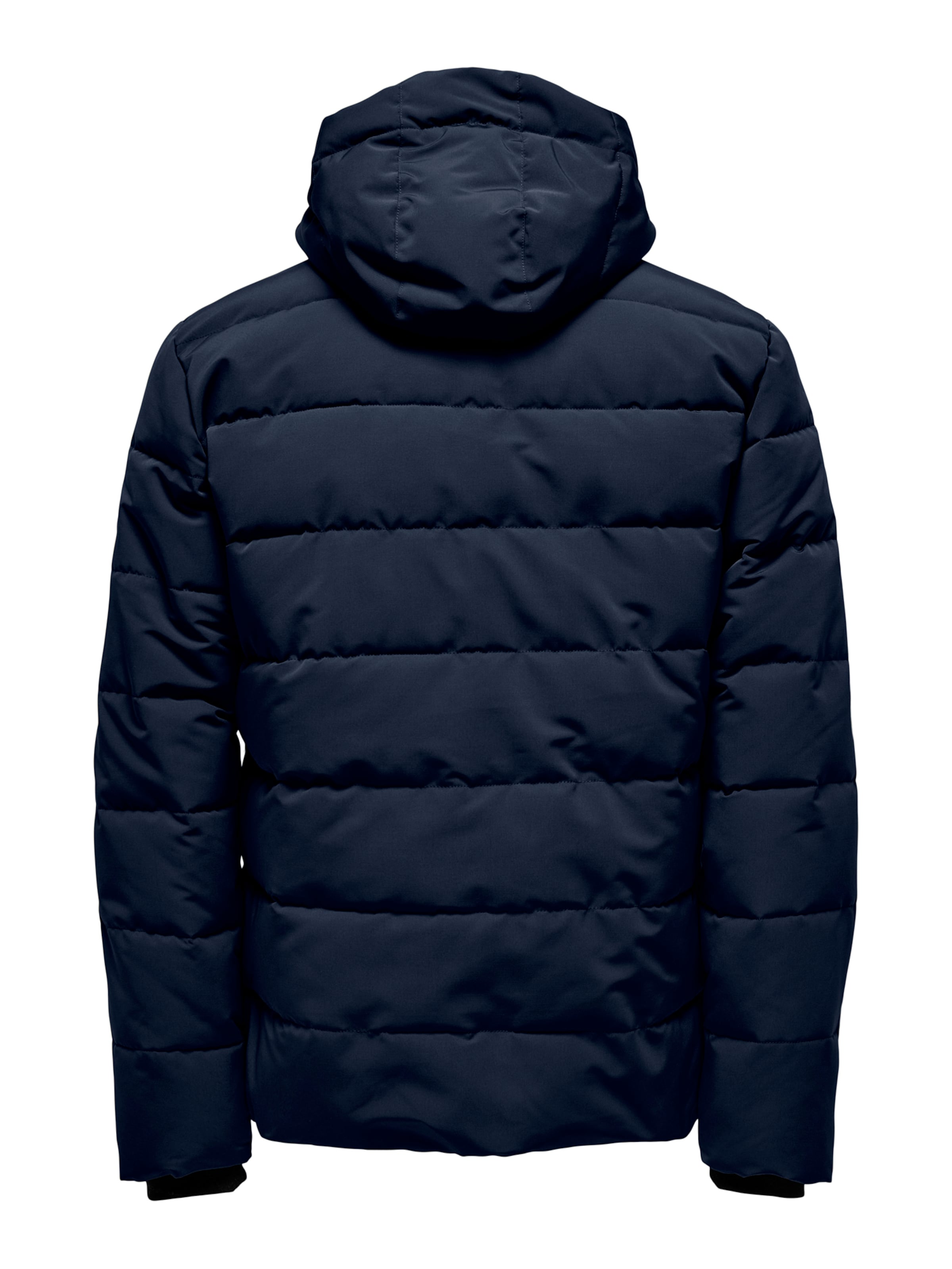 Only & Sons Zimska jakna 'ONSCayson' | modra barva