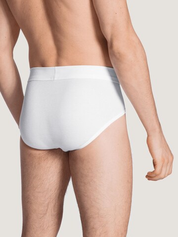CALIDA Slip 'Cotton 1:1'‌‌‌‌‌‌‌‌‌ in Weiß