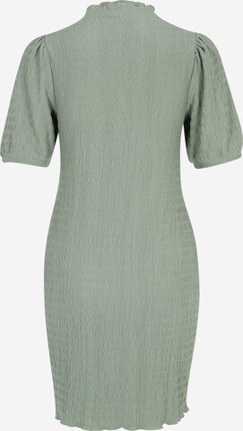Pieces Petite Dress 'Alice' in Green