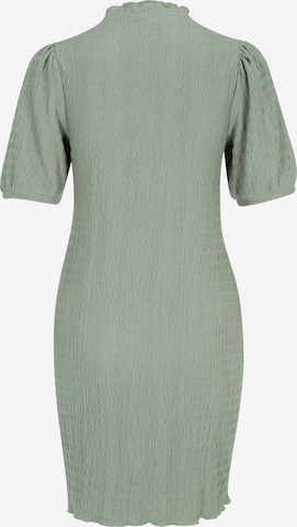 Pieces Petite Dress 'Alice' in Green