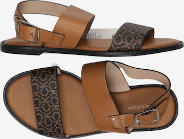 Calvin Klein Sandalen 36 in Braun: Vorderseite