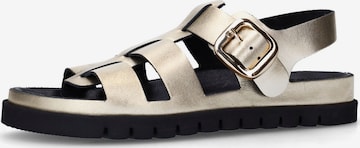 Sandales à lanières SACHA en or : devant