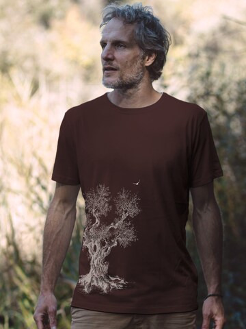Maglietta 'Organic Fairwear Olive Tree' di Life-Tree in marrone