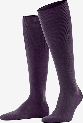 FALKE Knee High Socks 'Airport' in Purple: front