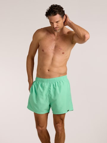 wavebreaker Board Shorts in Green