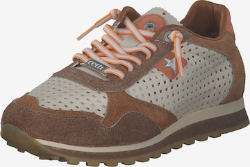 Cetti Sneakers 'C848 M' in Beige: front