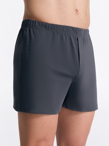 Albero Natur Boxershorts in Grau