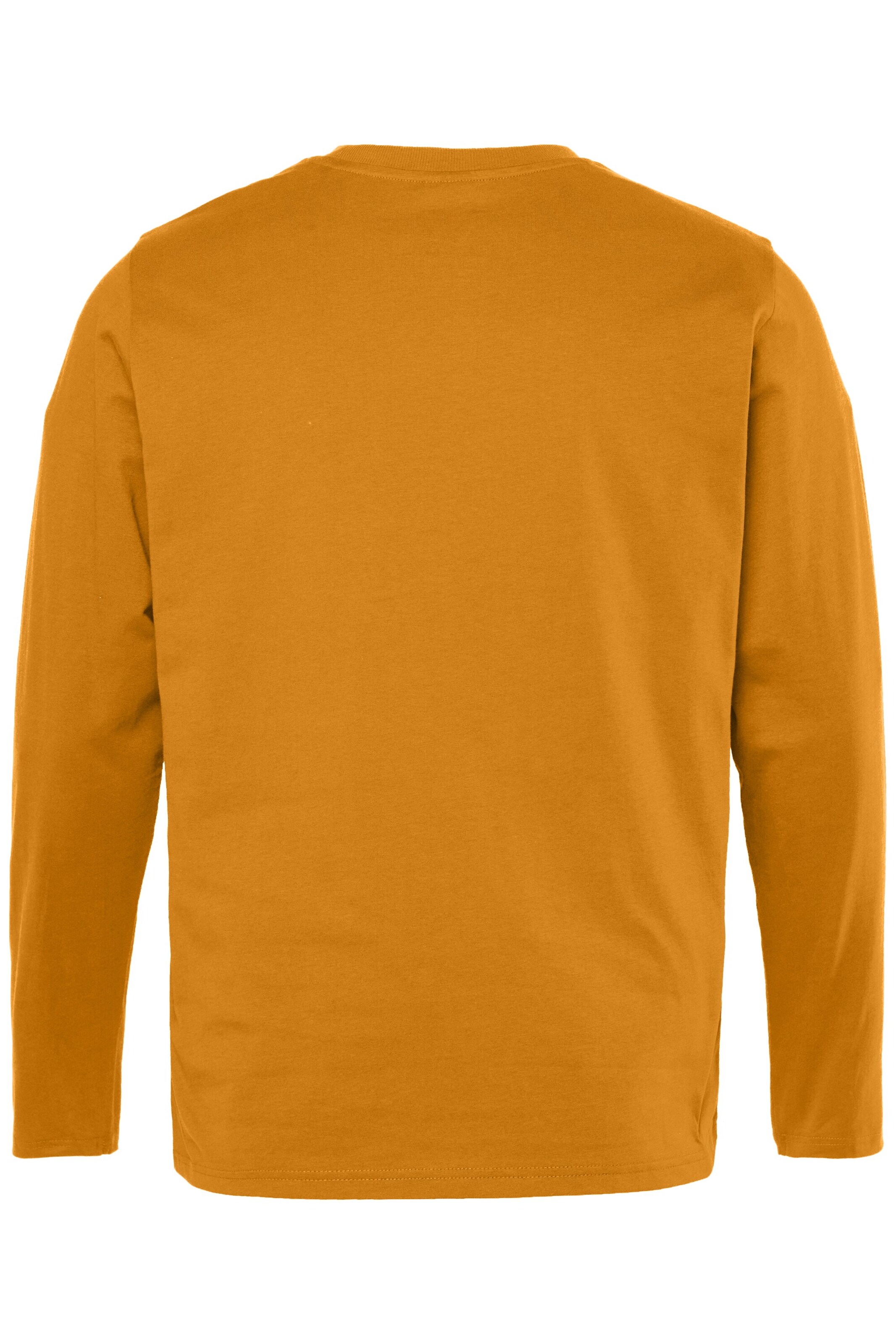 Men Plus Shirt in Beige