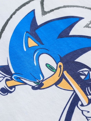 Next Shirt in Mischfarben
