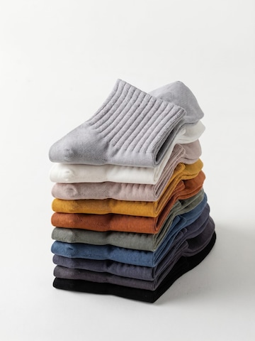 Millo Socks 'Everyday' in Blue