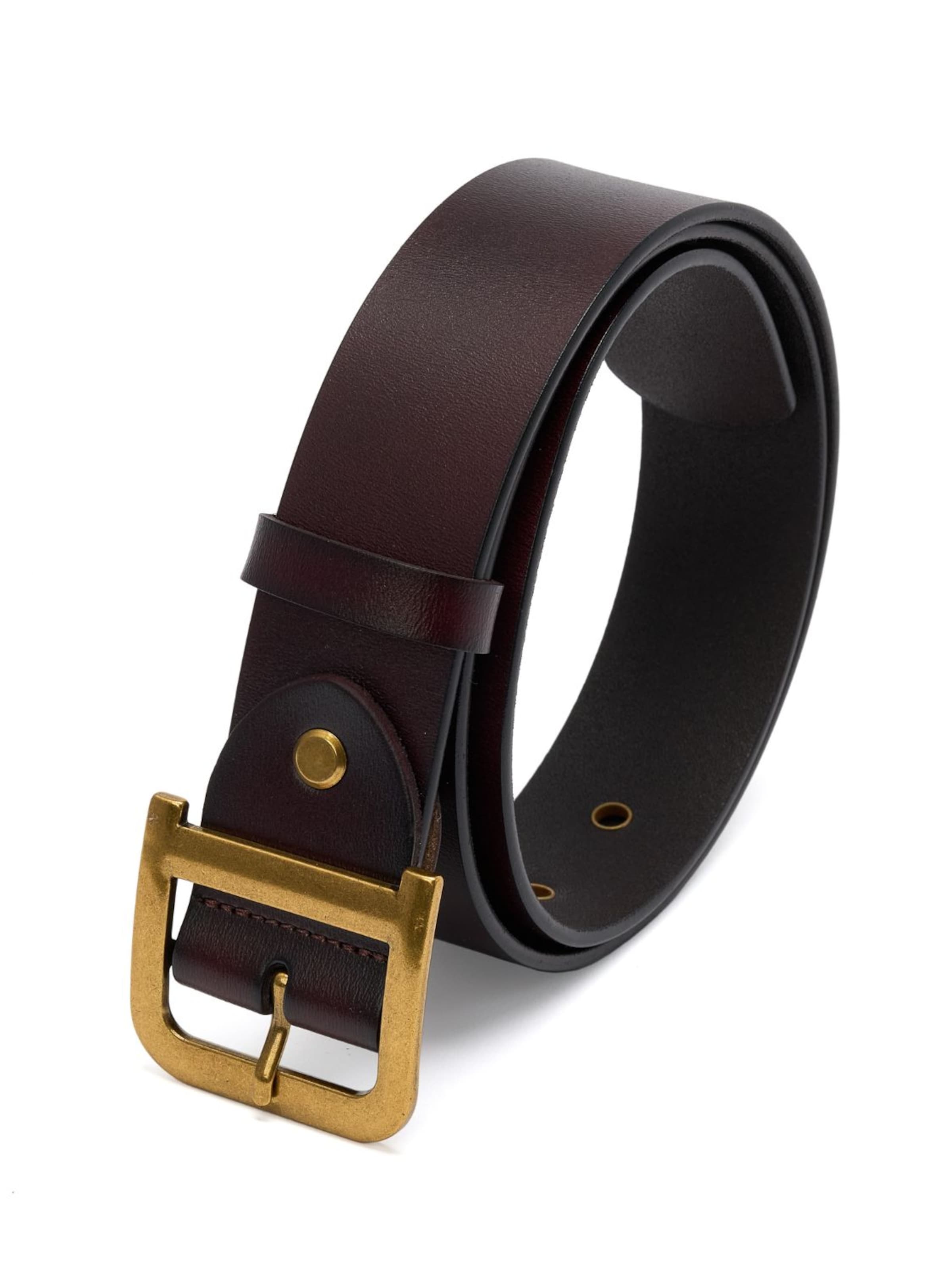 jolar Belt in Brown: front