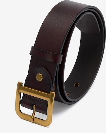 jolar Belt in Brown: front