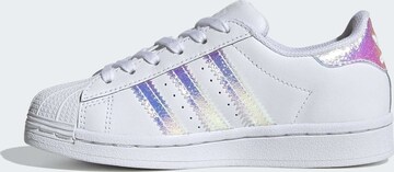 ADIDAS ORIGINALS Σνίκερ 'Superstar' σε λευκό