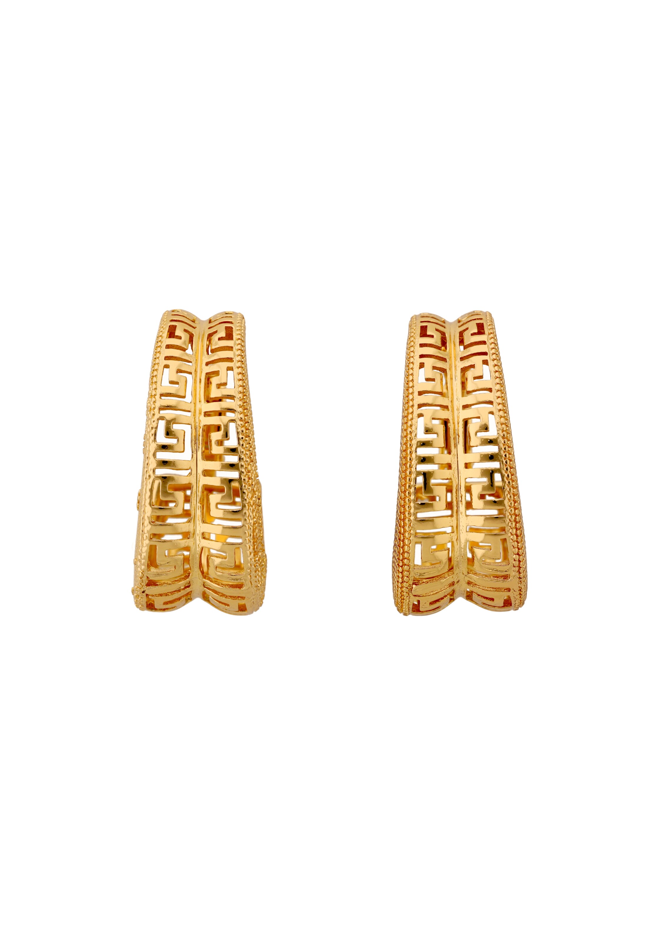 GRASSLAND Earrings in Gold: front
