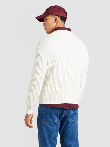 TOMMY HILFIGER Trui in Wit