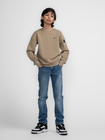 Petrol Industries Sweatshirt 'Salcha' in Bruin