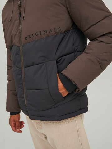 JACK & JONES Winter Jacket in Brown