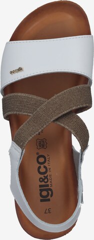 IGI&CO Sandals in Brown