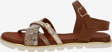 SPM Strap Sandals in Brown