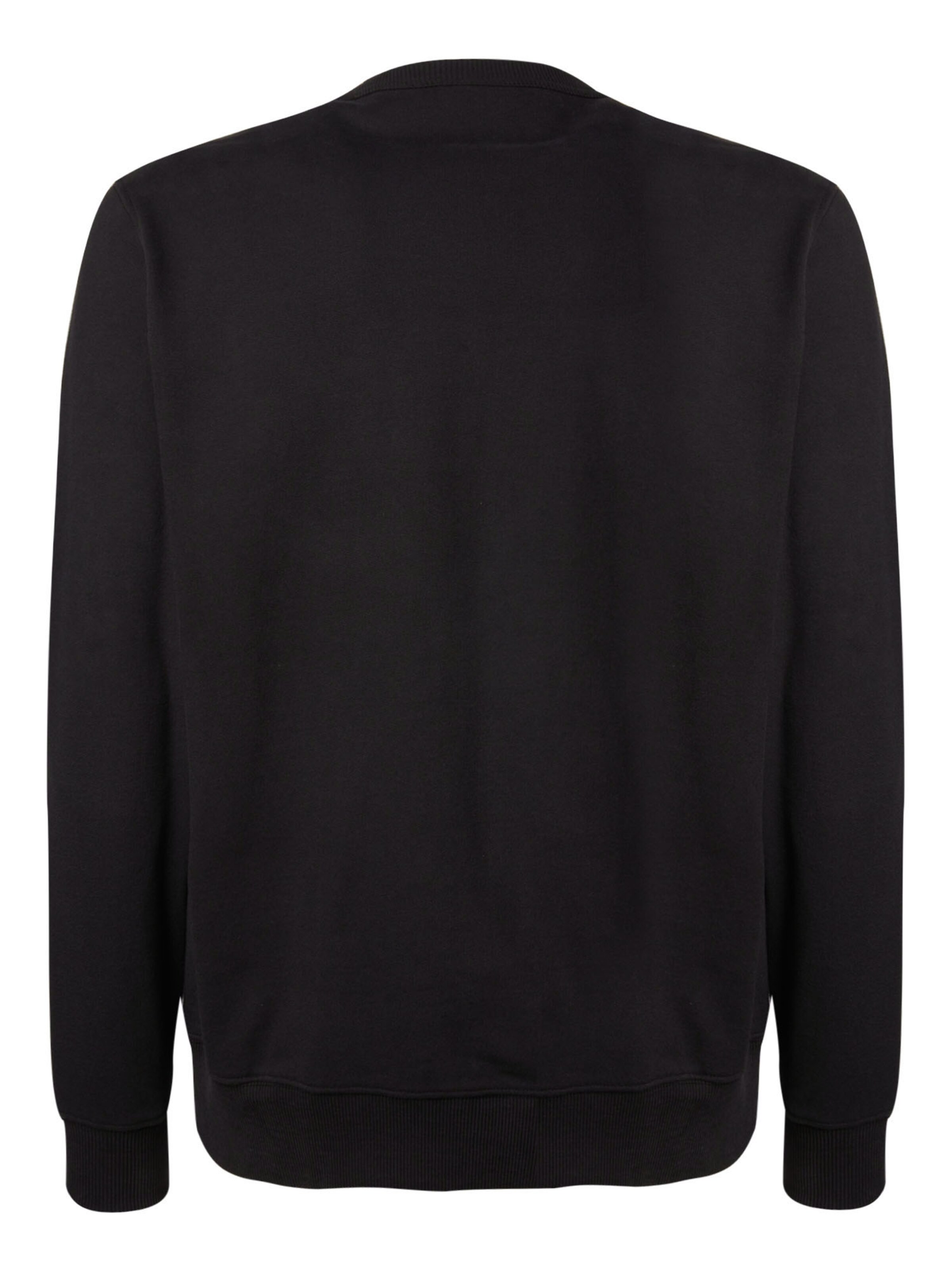 DICKIES Sweatshirt 'Aitkin' i sort