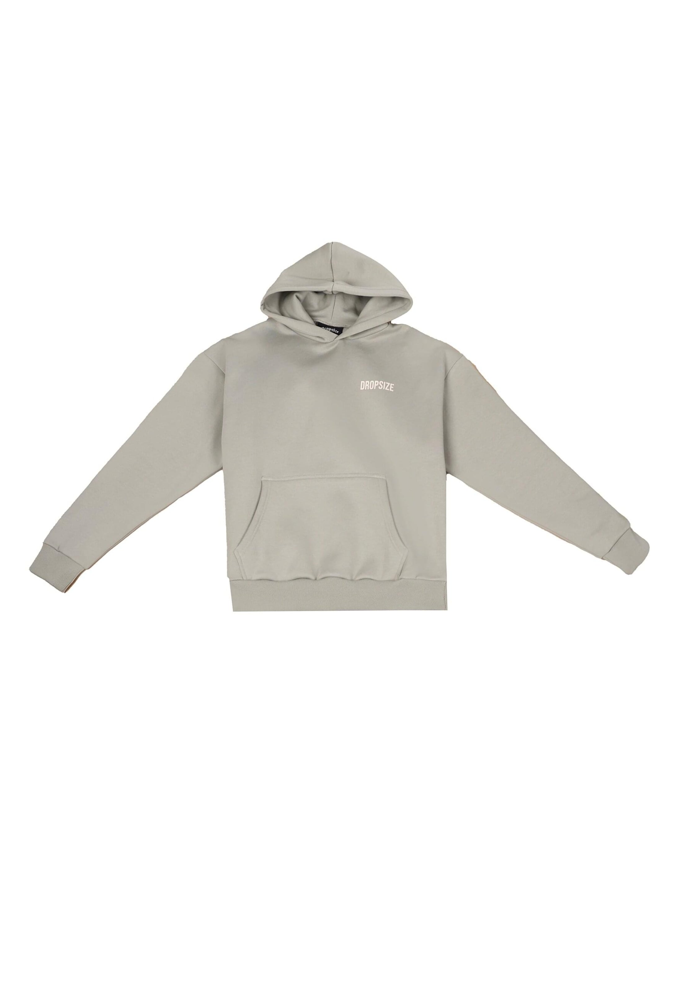 Sweat-shirt Dropsize en gris : devant