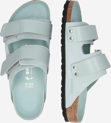 BIRKENSTOCK Pantofle 'LENA' – zelená