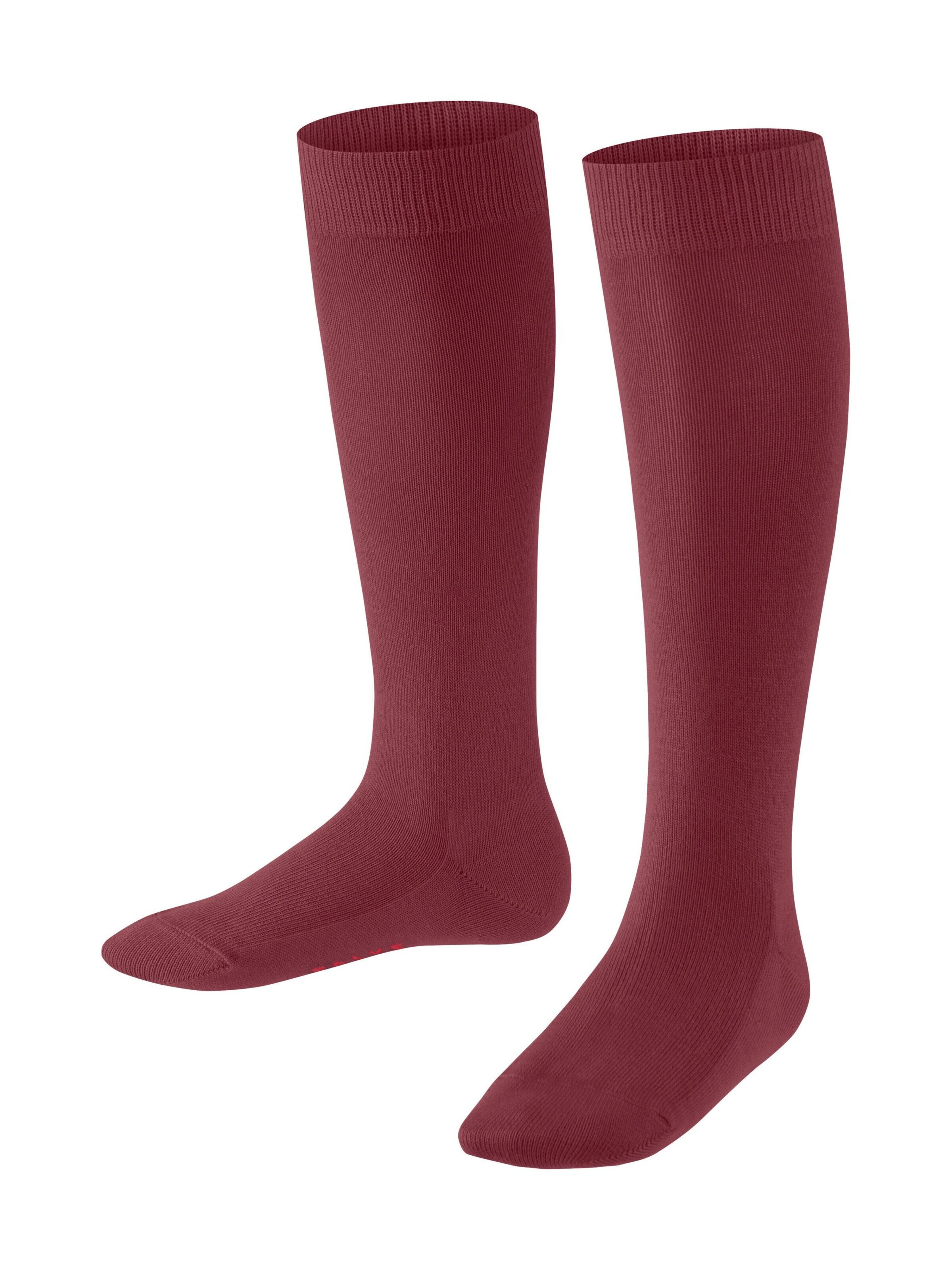 FALKE Socken 'Family'‌‌‌‌‌‌‌‌‌ in Rot: Vorderseite