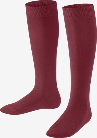 FALKE Socken 'Family' in Rot: Vorderseite