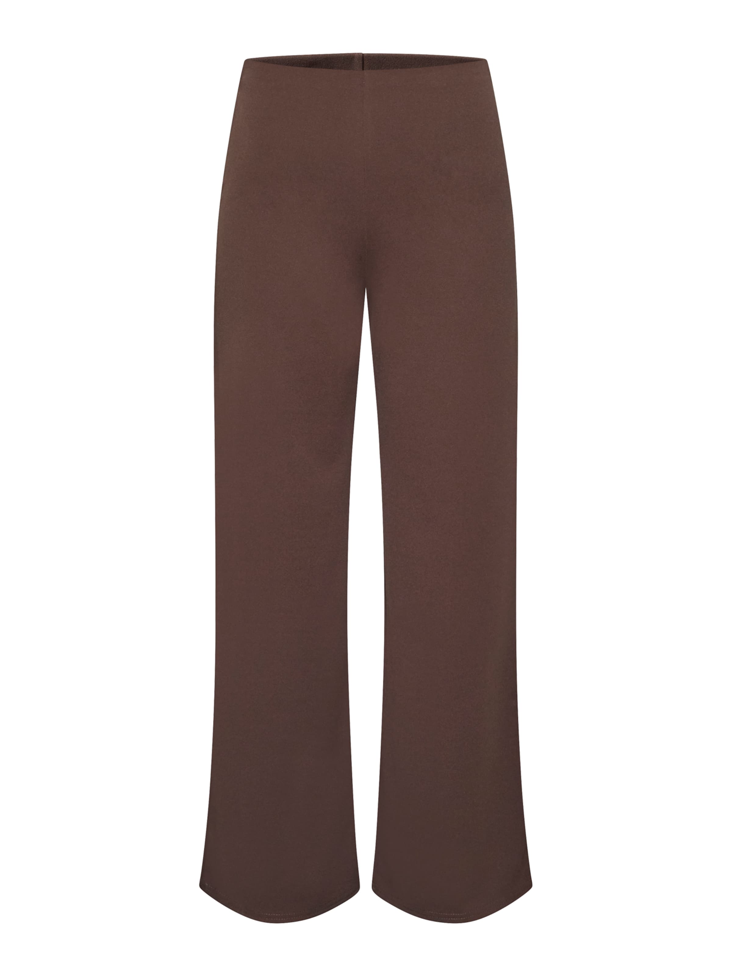 SISTERS POINT Bukser 'GLUT' i brun: forside