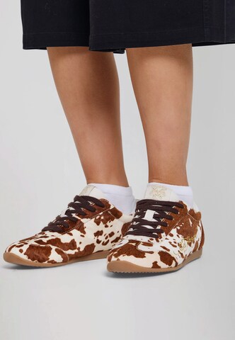 Ed Hardy Låg sneaker i brun: framsida