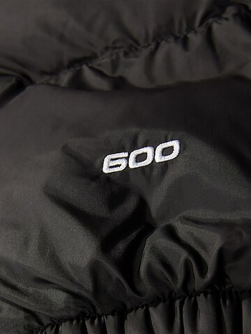 THE NORTH FACE Χειμερινό μπουφάν 'Hydrenalite' σε μαύρο