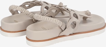 Crickit T-Bar Sandals in Beige