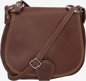 Gave Lux Crossbody Bag in Brown: front