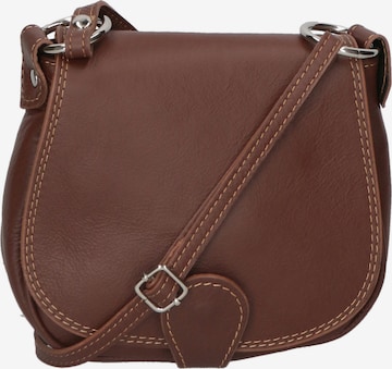 Gave Lux Crossbody Bag in Brown: front