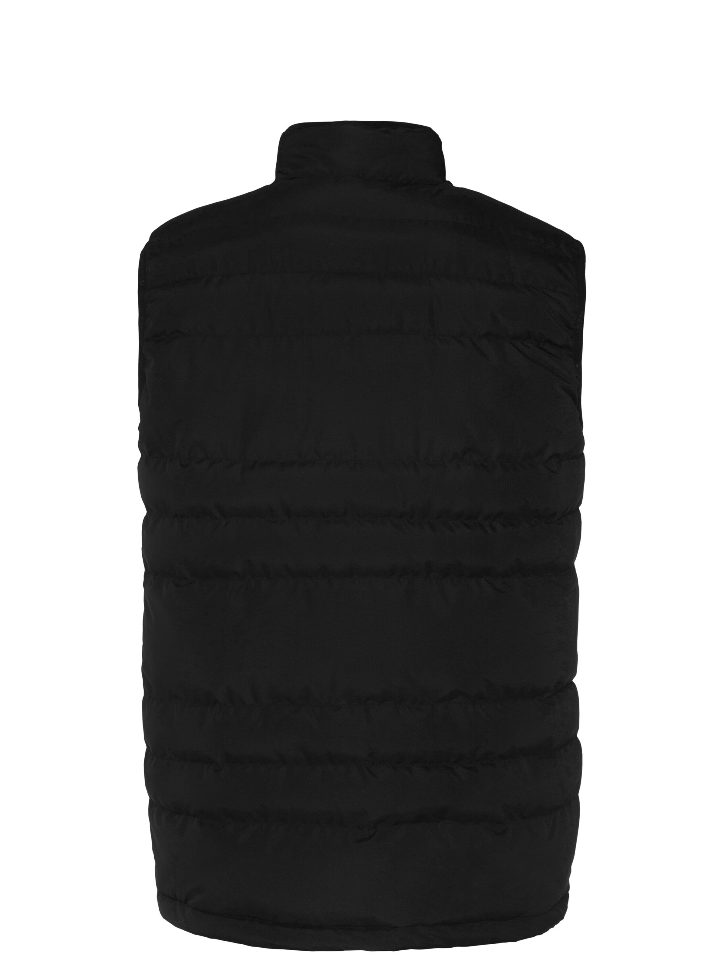 PROTEST Between-season jacket 'BRAMPTOON' in Black