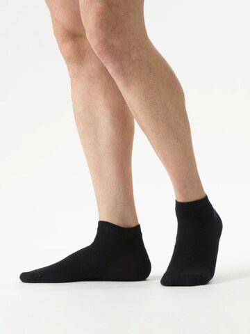 Von Jungfeld Füßlinge 'Classic Set'‌‌‌ in Mischfarben