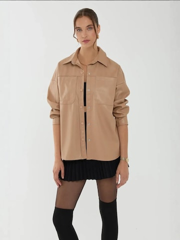 Hiccup Blouse in Brown: front