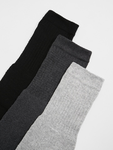 Albert Schäfer Socks '30er Pack' in Grey