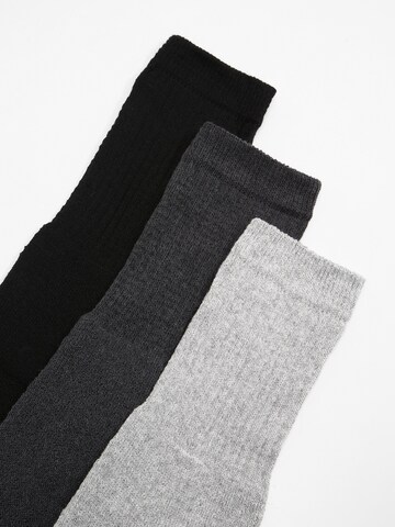 Albert Schäfer Socks '30er Pack' in Mixed colors