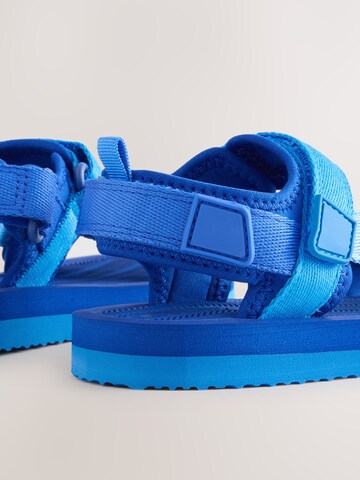 Next Open schoenen in Blauw