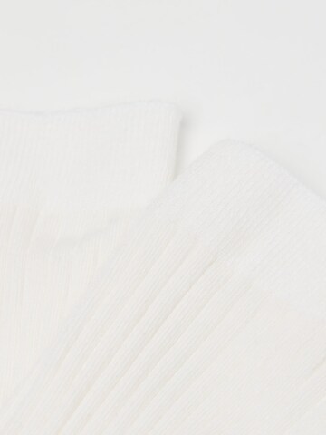 CALZEDONIA Socks in White