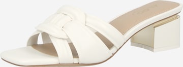 ALDO Pistokkaat 'NAJLA' värissä beige: etupuoli